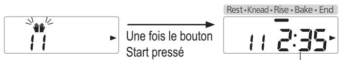 Une fois le bouton Start pressé Repos • Pétrissage • Levée • Cuisson • Fin 11 2:35