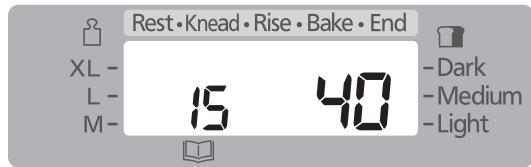 Rest•Knead•Rise•Bake•End XL- L- M- 15 40 - Dark - Medium - Light