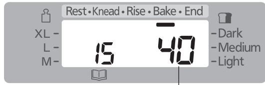 Rest • Knead • Rise • Bake • End XL - 15 40 - Dark L - 40 - Medium M - 40 - Light