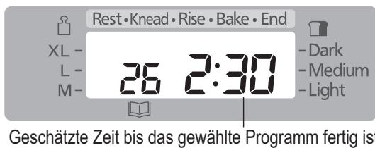 PANASONIC SD-2501WXC - Kochen von Marmelade - 7