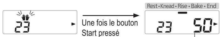 PANASONIC SD-2501WXC - Ajouter le beurre supplémentaire quand le signal sonore retentit puis appuyez de nouveau sur le 'Start' (Marche) - 1