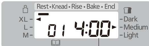 Rest·Knead·Rise·Bake·End XL- L- M- 01 4:00 -Dark -Medium -Light