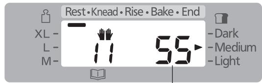 Rest·Knead·Rise·Bake·End XL- L- M- - Dark - Medium - Light