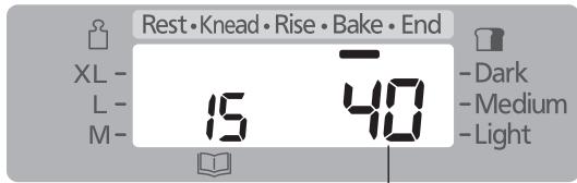 Rest • Knead • Rise • Bake • End XL - L - M - 15 40 - Dark - Medium - Light