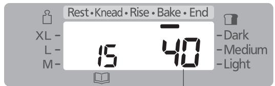 PANASONIC SD-2501WXC - Cake bakken - 7