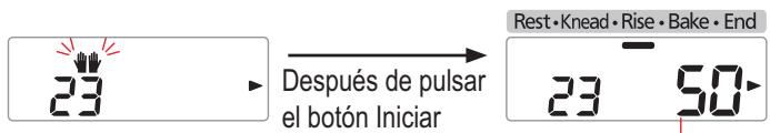 PANASONIC SD-ZB2502BXA - Añada la mantequilla adicional cuando se oiga el pitido y pulse otra vez el botón Iniciar - 1