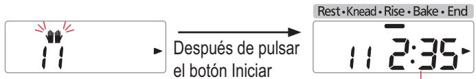 PANASONIC SD-ZB2502BXA - Añada la mantequilla adicional cuando se oiga el pitido y pulse otra vez el botón Iniciar - 1
