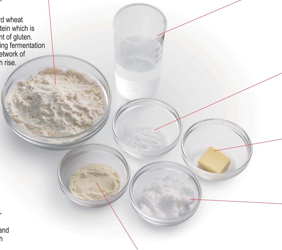 PANASONIC SD-ZB2502BXA - Rye flour - 1