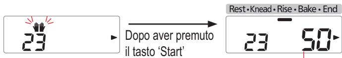 PANASONIC SD-ZB2502BXA - Aggiungere ulteriore burro dopo il segnale acustico, quindi premere di nuovo il tasto 'Start' (Avvio) - 1