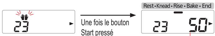 PANASONIC SD-ZB2502BXA - Ajouter le beurre supplémentaire quand le signal sonore retentit, puis appuyez de nouveau sur le 'Start' (Marche) - 1