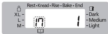 Rest • Knead • Rise • Bake • End XL - L - M- Dark Medium Light
