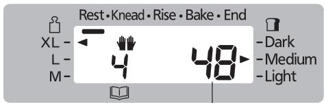 Rest•Knead•Rise•Bake•End XL- L- M- 4 48 Dark Medium Light