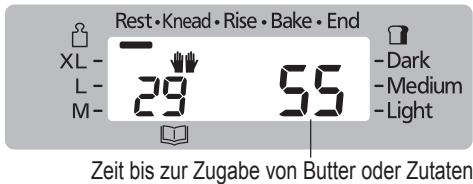 Rest • Knead • Rise • Bake • End XL - 29 55 L - M- Dark Medium Light Zeit bis zur Zugabe von Butter oder Zutaten