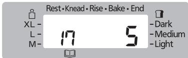 Rest • Knead • Rise • Bake • End XL - L - 17 5 - Dark M - - Medium - Light