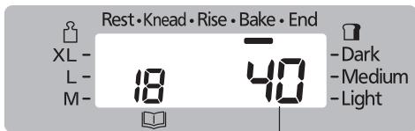 Rest•Knead•Rise•Bake•End XL- L- M- 18 40 - Dark - Medium - Light