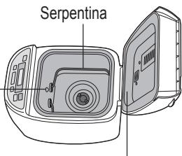 Serpentina