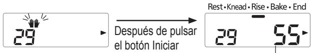 29 → Después de pulsar el botón Iniciar Rest·Knead·Rise·Bake·End 29 55