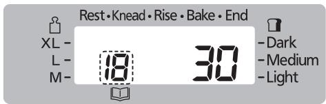 Rest • Knead • Rise • Bake • End XL - L - M- 18 30 - Dark - Medium - Light
