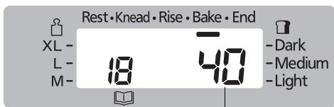 Rest•Knead•Rise•Bake•End XL- L- M- 18 40 - Dark - Medium - Light