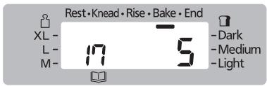 Rest • Knead • Rise • Bake • End XL - L - 17 5 - Dark M - 5 - Medium - Light