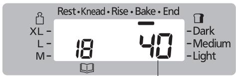 Rest • Knead • Rise • Bake • End XL - L - M- 18 40 Dark Medium Light