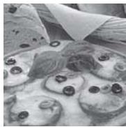PANASONIC SD-2511 - Recetas - 3