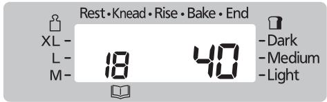 Rest • Knead • Rise • Bake • End XL - L - M- 18 40 - Dark - Medium - Light
