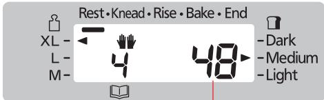 Rest • Knead • Rise • Bake • End XL - L - M - 48 -Dark -Medium -Light