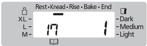Rest • Knead • Rise • Bake • End XL - L - M- Dark Medium Light