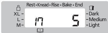 Rest • Knead • Rise • Bake • End XL - L - 17 5 - Dark M - - Medium - Light