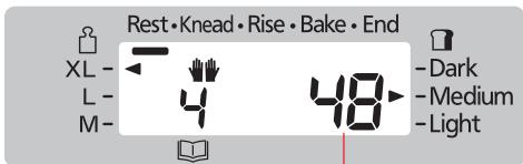 Rest • Knead • Rise • Bake • End XL - 4 48 - Dark L - 4 48 - Medium M - 4 48 - Light