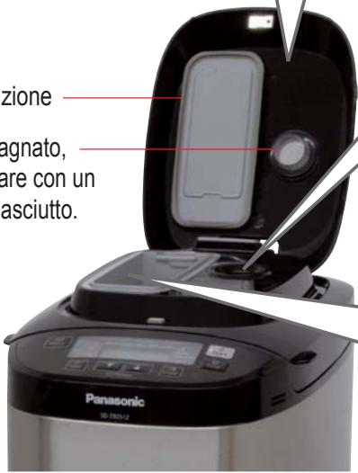 zione agnato, are con un asciutto. Panasonic SD 03251-2