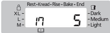 Rest • Knead • Rise • Bake • End XL - L- M- 17 5 - Dark - Medium - Light