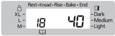 Rest•Knead•Rise•Bake•End XL- L- M- 18 40 -Dark -Medium -Light