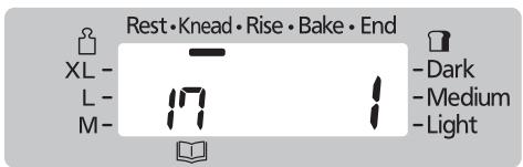 Rest • Knead • Rise • Bake • End XL - L - M- Dark Medium Light