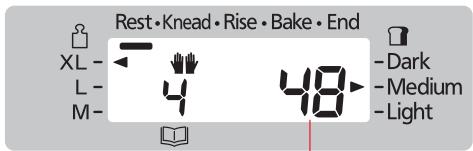 Rest•Knead•Rise•Bake•End XL- L- M- 48 Dark Medium Light
