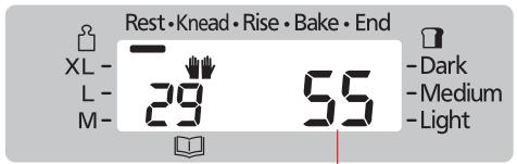 Rest • Knead • Rise • Bake • End XL - L - M- 29 55 Dark Medium Light