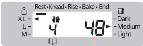 Rest • Knead • Rise • Bake • End XL - L - M- 4 48 -Dark -Medium -Light