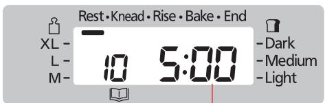 Rest • Knead • Rise • Bake • End XL - L - M- 10 5:00 - Dark - Medium - Light
