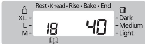 Rest • Knead • Rise • Bake • End XL - L - M- 18 40 Dark Medium Light
