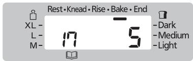 Rest • Knead • Rise • Bake • End XL - L- M- 17 5 - Dark - Medium - Light