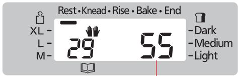 Rest•Knead•Rise•Bake•End XL- 29 55 L- M- Dark Medium Light