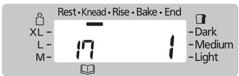 Rest • Knead • Rise • Bake • End XL - L - M- Dark Medium Light