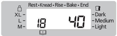 Rest•Knead•Rise•Bake•End XL- L- M- 18 40 Dark Medium Light