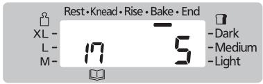 Rest • Knead • Rise • Bake • End XL - L- M- - Dark - Medium - Light