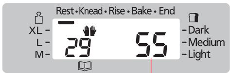 Rest•Knead•Rise•Bake•End XL- 29 55 -L- M- Dark -Medium -Light