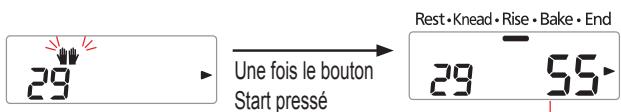 29 Une fois le bouton Start pressé Rest·Knead·Rise·Bake·End 29 55