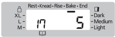Rest • Knead • Rise • Bake • End XL - L- M- 17 5 - Dark - Medium - Light