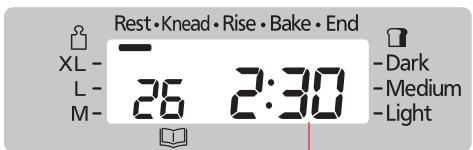 Rest • Knead • Rise • Bake • End XL - L - M- 26 2:30 - Dark - Medium - Light