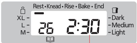 Rest • Knead • Rise • Bake • End XL - L - M- 26 2:30 Dark Medium Light